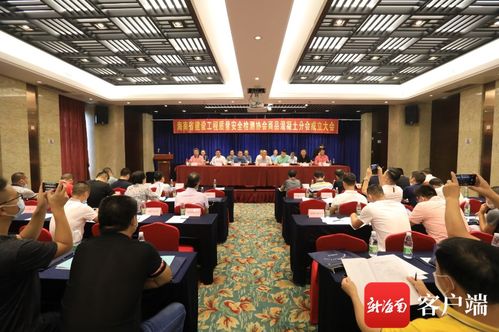 信息技術賦能，質量安全護航——記海南省建設工程質量安全檢測協會商品混凝土分會成立
